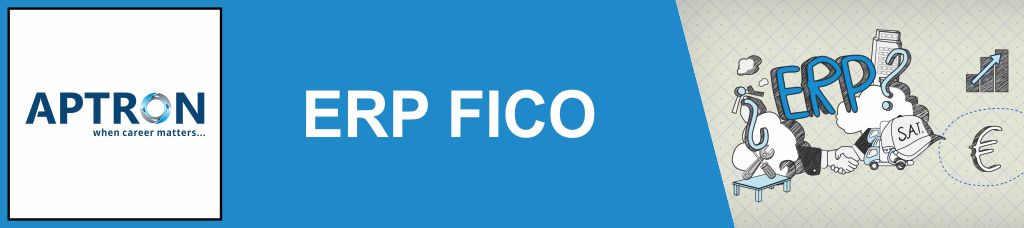 Best erp-sap-fico training institute in Gurgaon